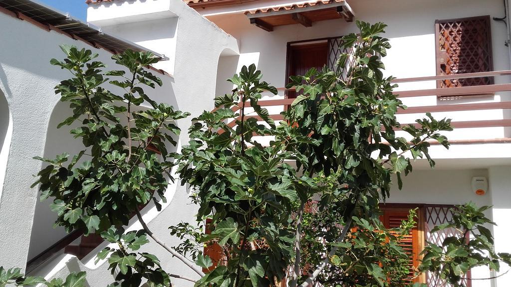 צ'יניזי Villa Modus Vivendi מראה חיצוני תמונה